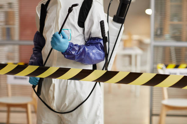 Professional Sewage Cleanup technician working in Beachwood, NJ